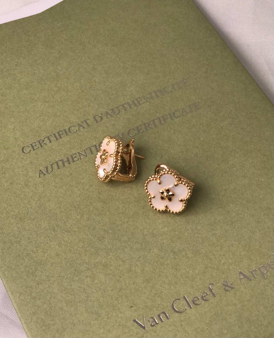 Ladybug - الصورة 3