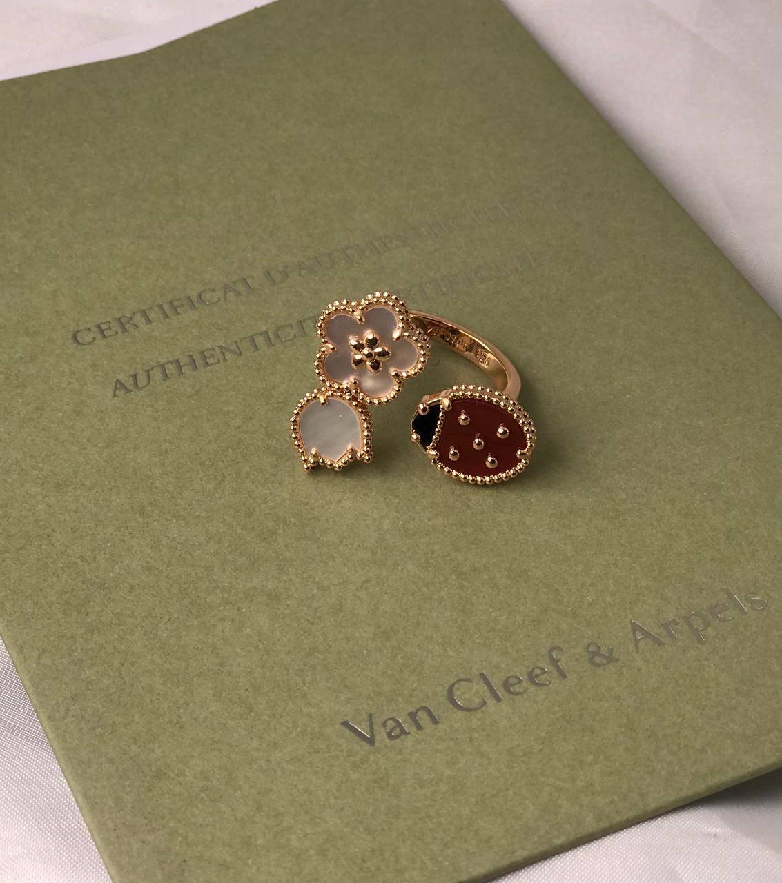 Ladybug - الصورة 4