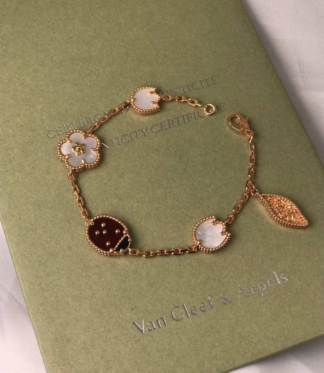 Ladybug - الصورة 5