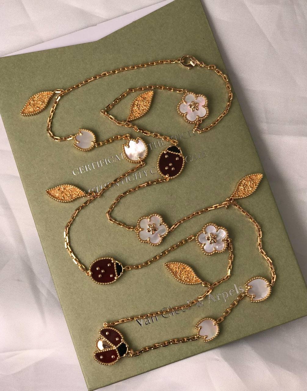 Ladybug - الصورة 6