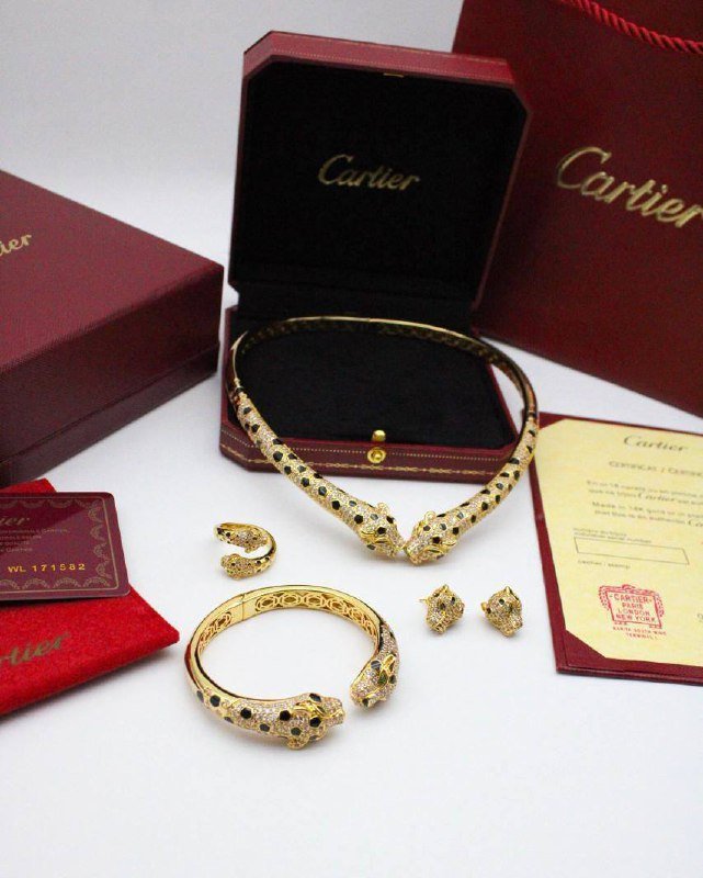 Panthère leopard spots - الصورة 2